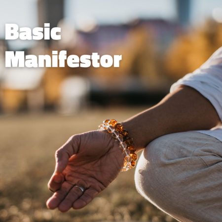 Basic Manifestor